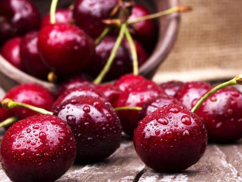 Вишня купить саженцы из питомника в Вологде